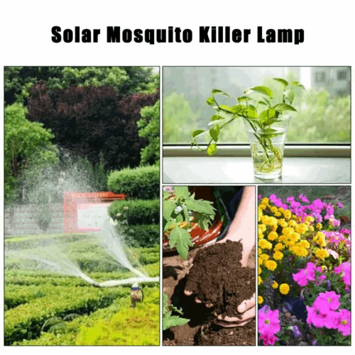 Solar Mosquito Killer Lamp Application Scenarios