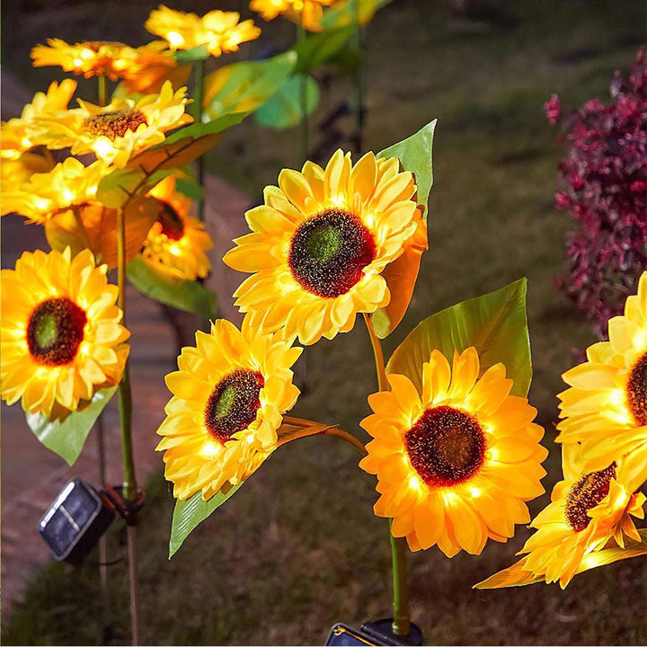 Sunflower Solar Lights Show